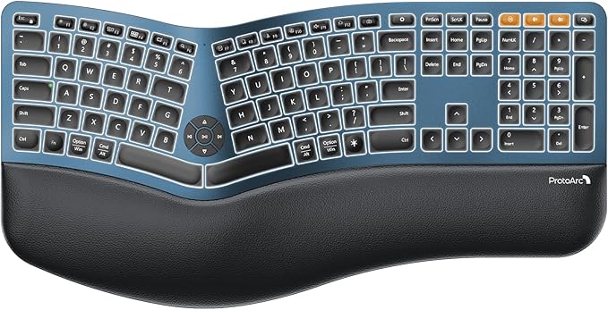 Teclado ProtoArc EK01 Plus Full Size Ergo Backlit