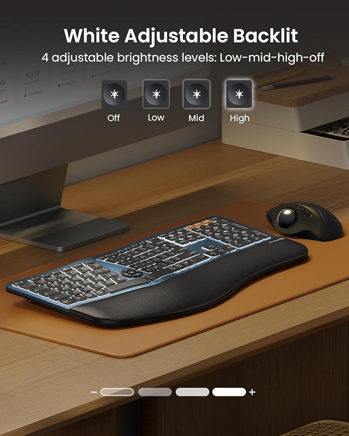 Teclado ProtoArc EK01 Plus Full Size Ergo Backlit