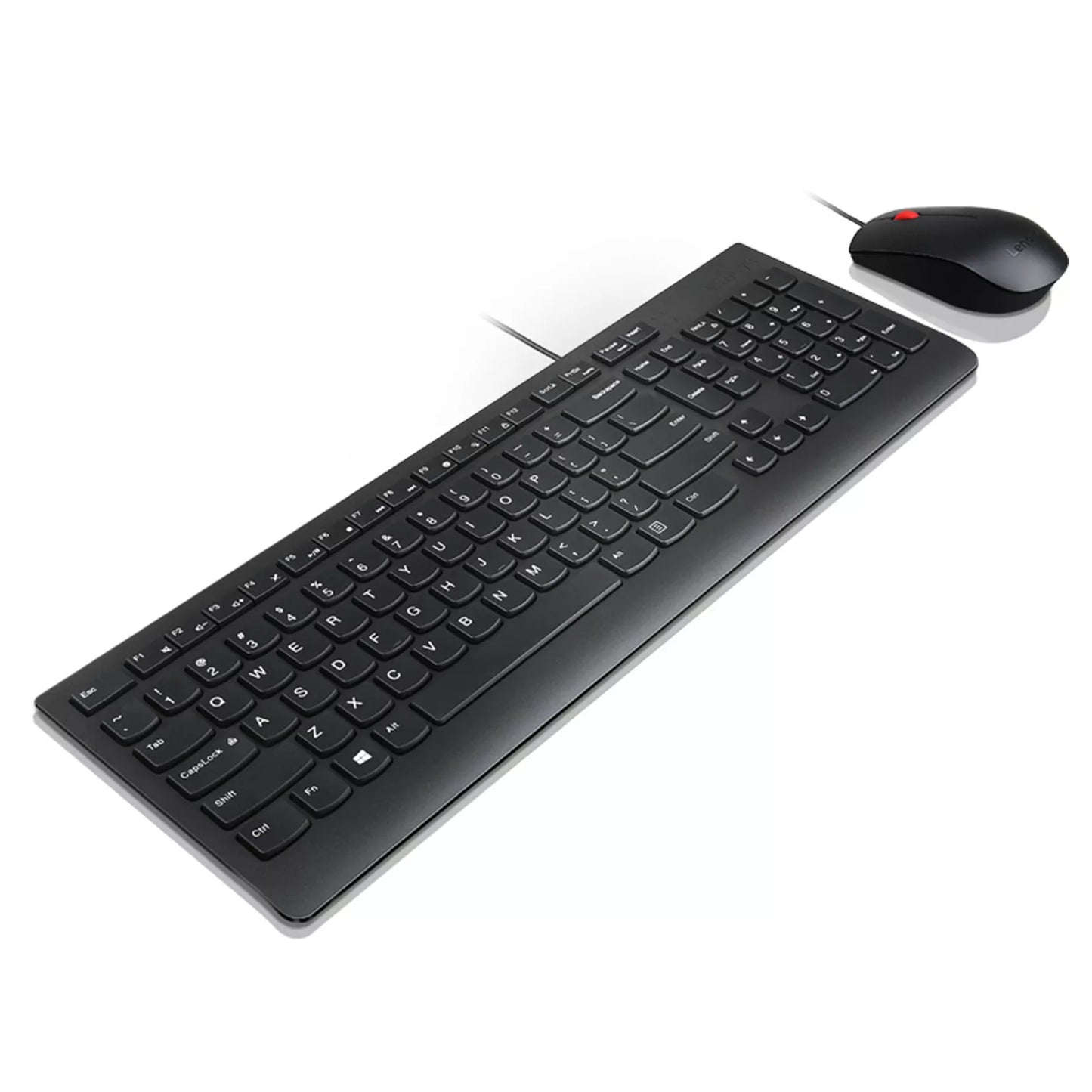 Teclado Lenovo Essential Wired Combo 4X30L79883